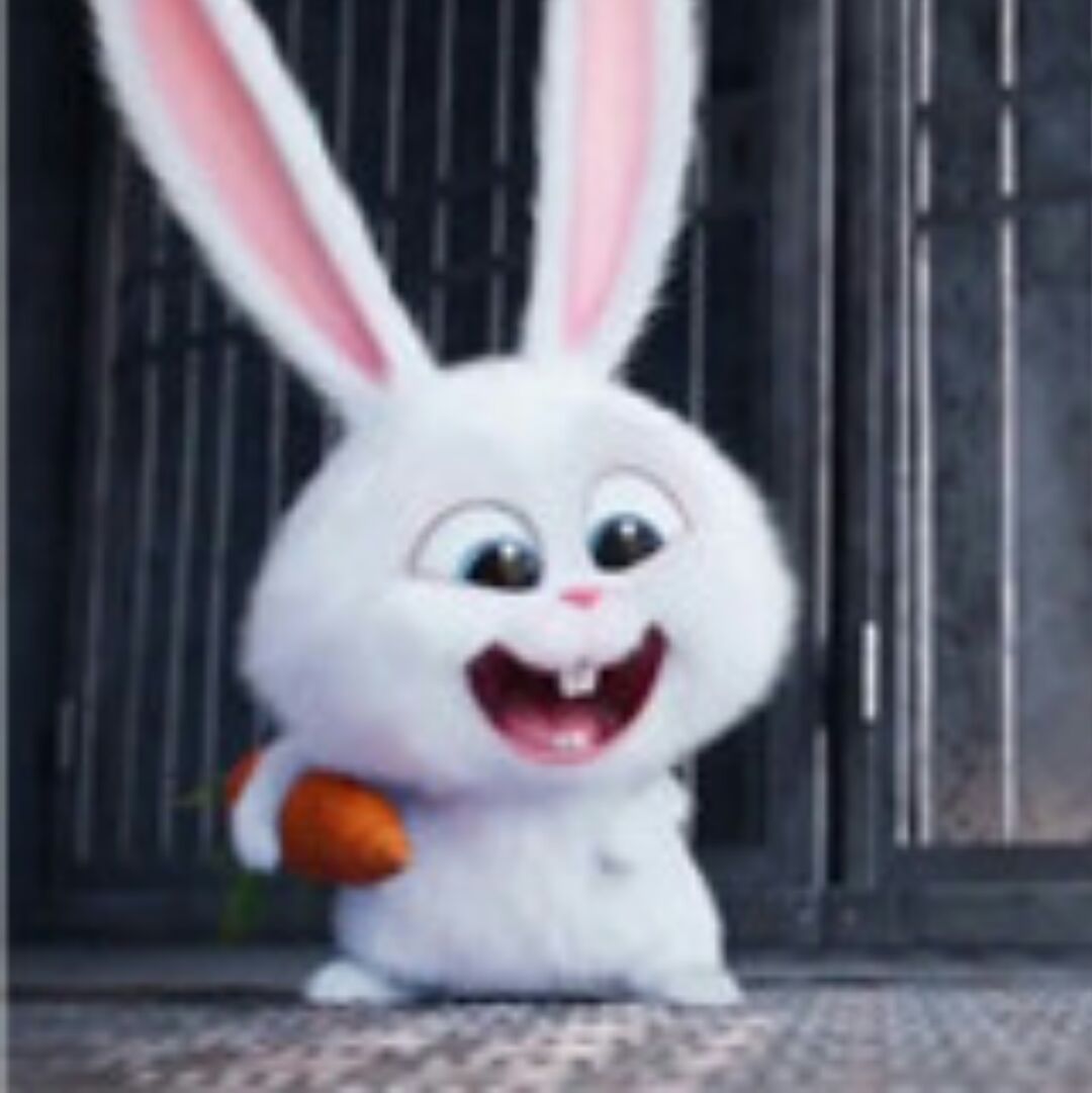 年年有鱼爱上琴