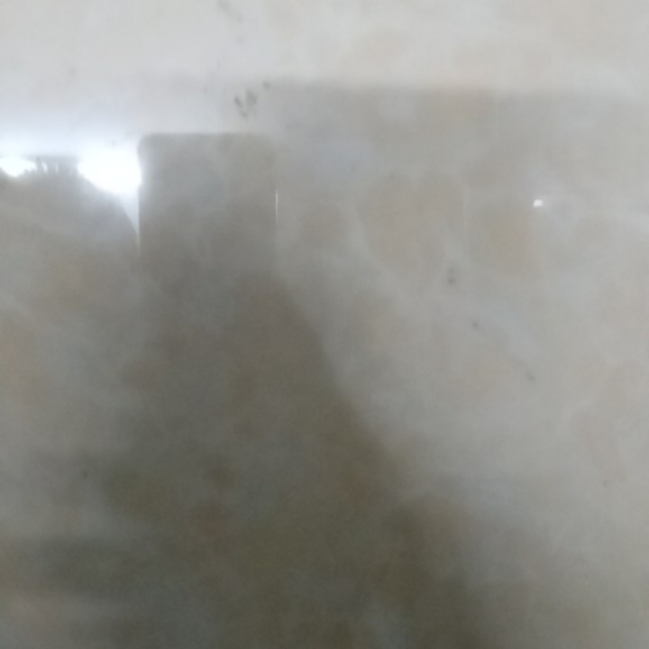 爱吃蚝油焖笋的牛奶糖