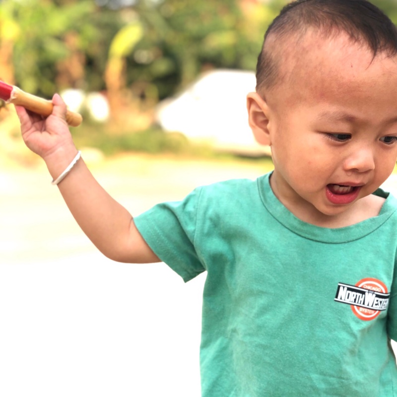 你若盛开蝴蝶自来