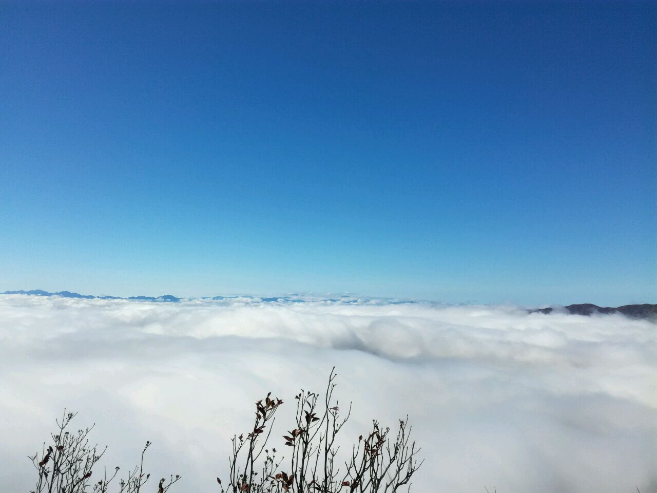 爱吃煮五花肉的长笛