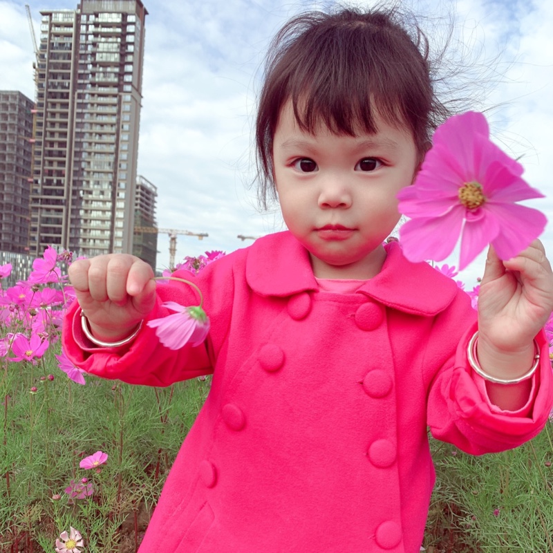 爱吃米面发糕(^_^)