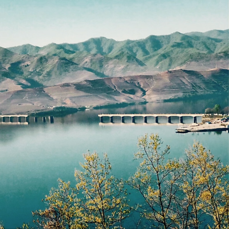 小龙砍俩人得多钱