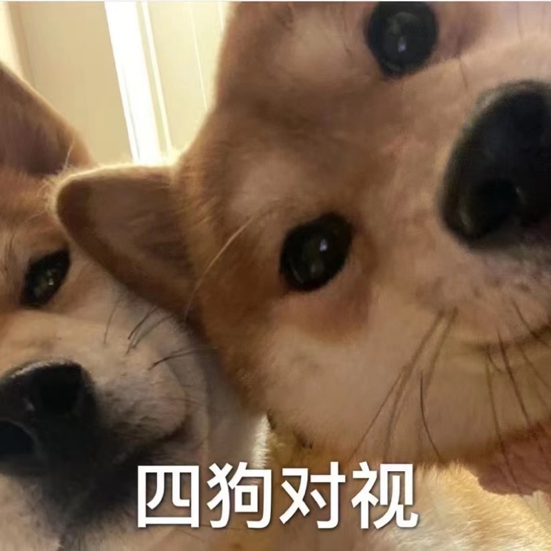 幼儿园园长抢饭吃