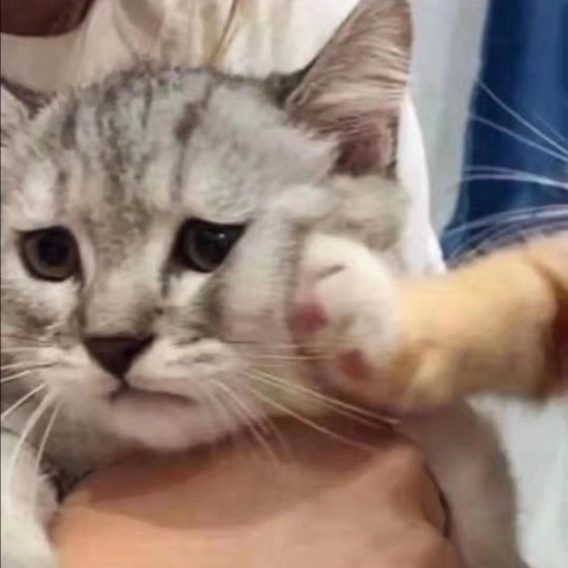 爱吃上上签的乘客