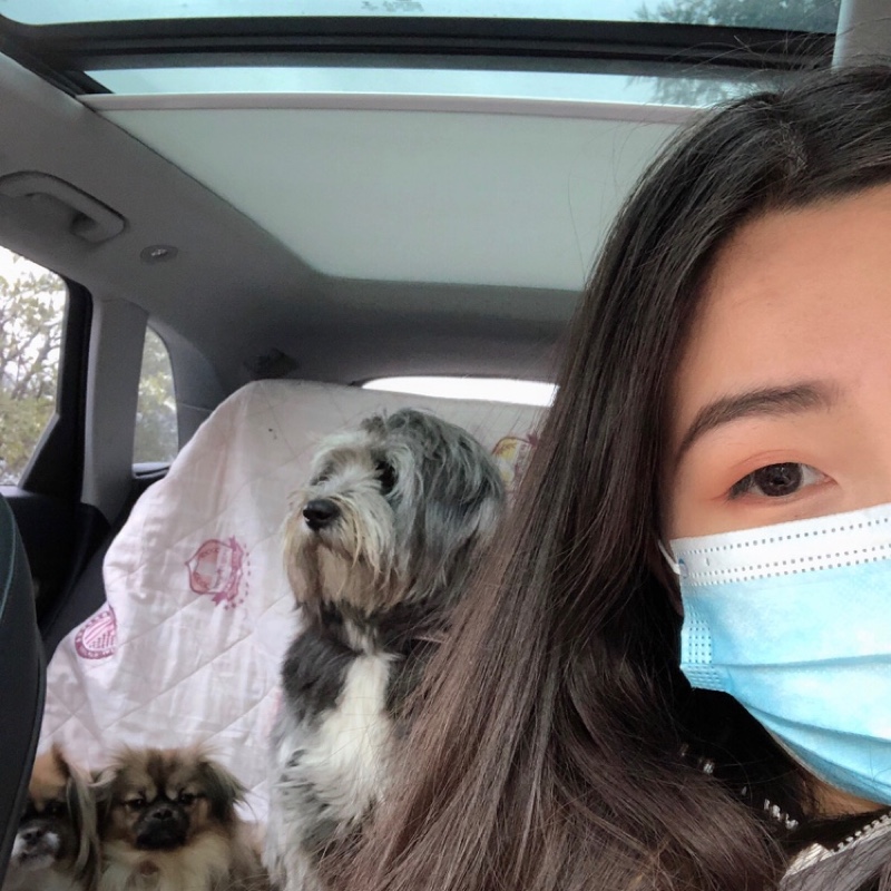 不吃肥肉的小中中