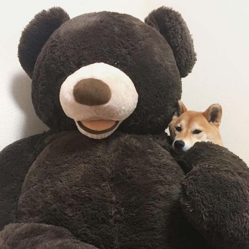 哔哩吧啦吧吧扎嘿