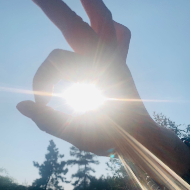 爱吃葱烧肋排的小智