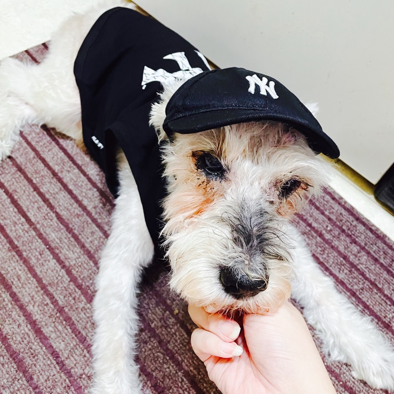 肖戰真正的老婆