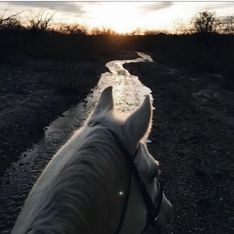 让爱渐行渐远吧