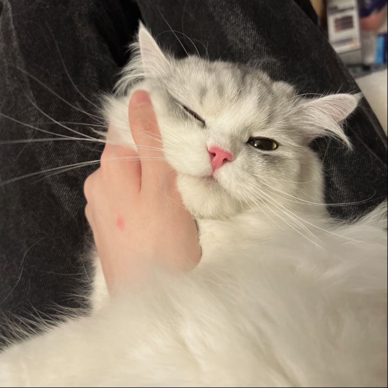 每天都想买点什么