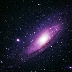 去我家吧我请客