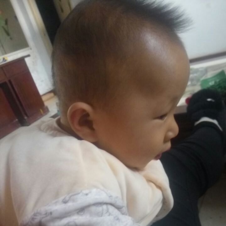 毛毛豆201516很有爱