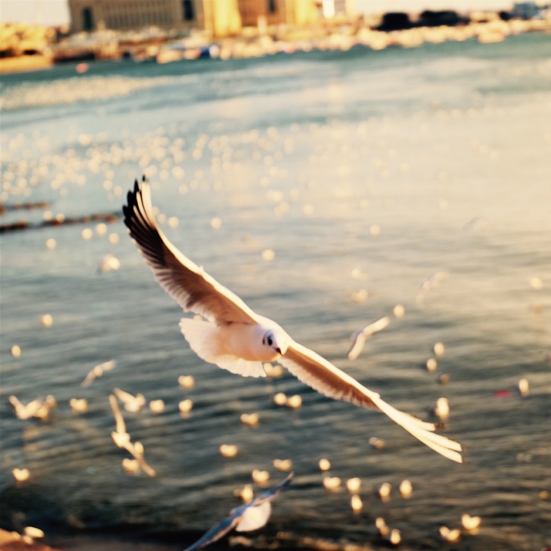 你长得像我初恋