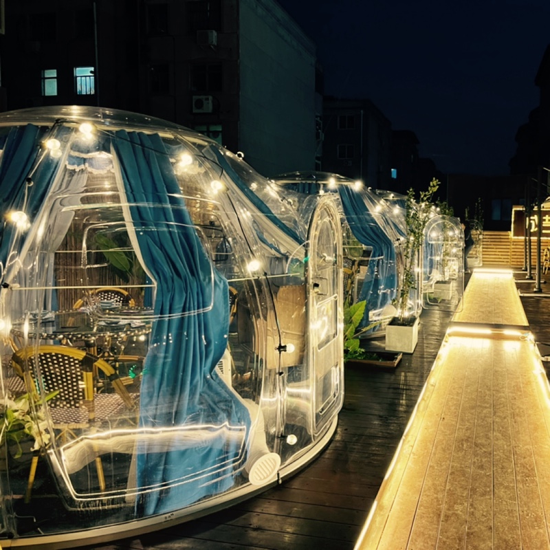 爱吃樱桃果茶的馒头