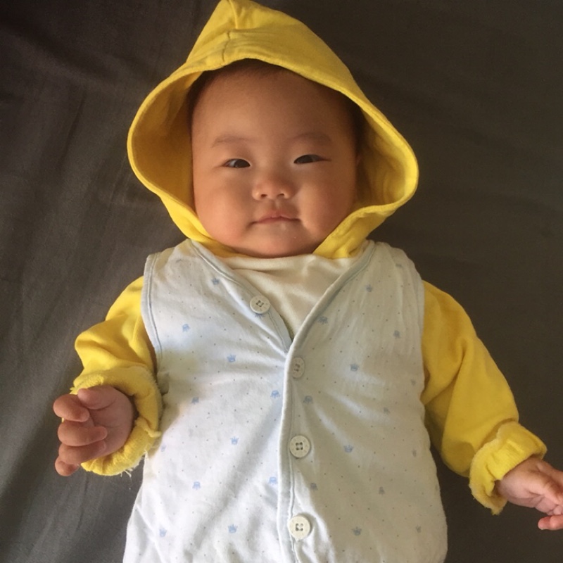 会武功的小毛驴