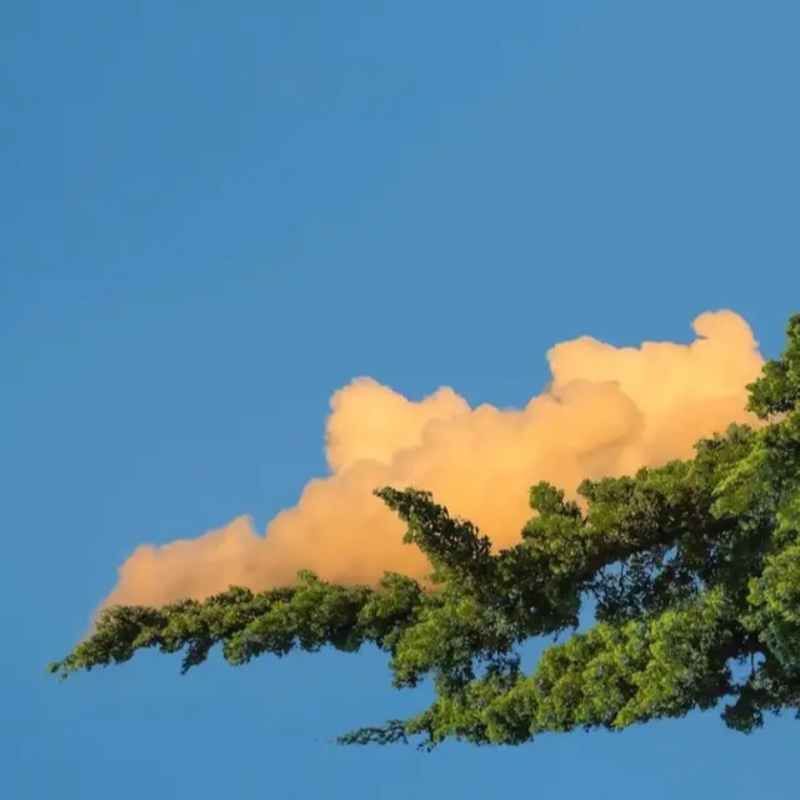 永远长不大的boy