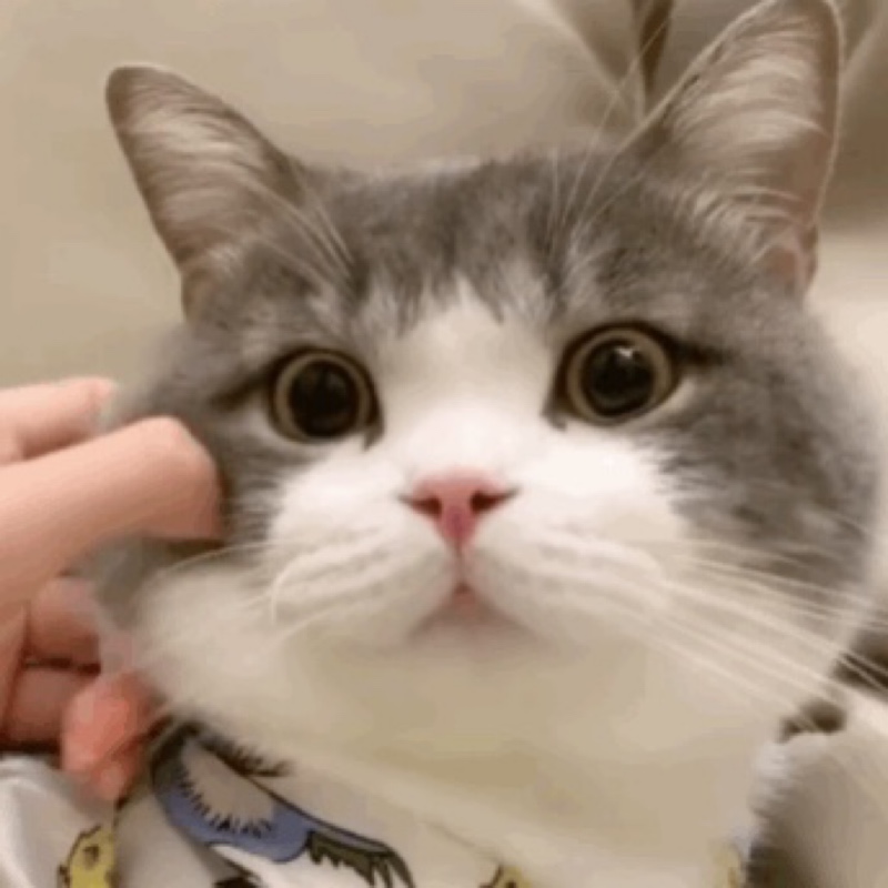 买卖不成仁义在