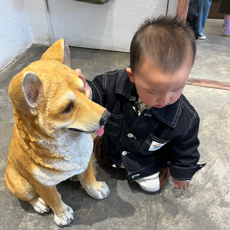 喝芬达的小王儿