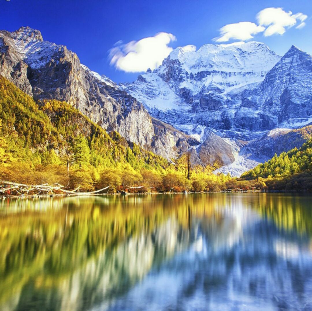 仁者无敌多多宝宝