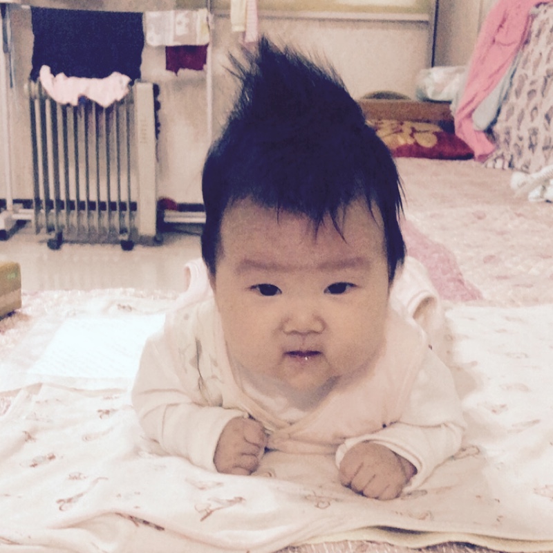 爱吃客家艾糕的树莓