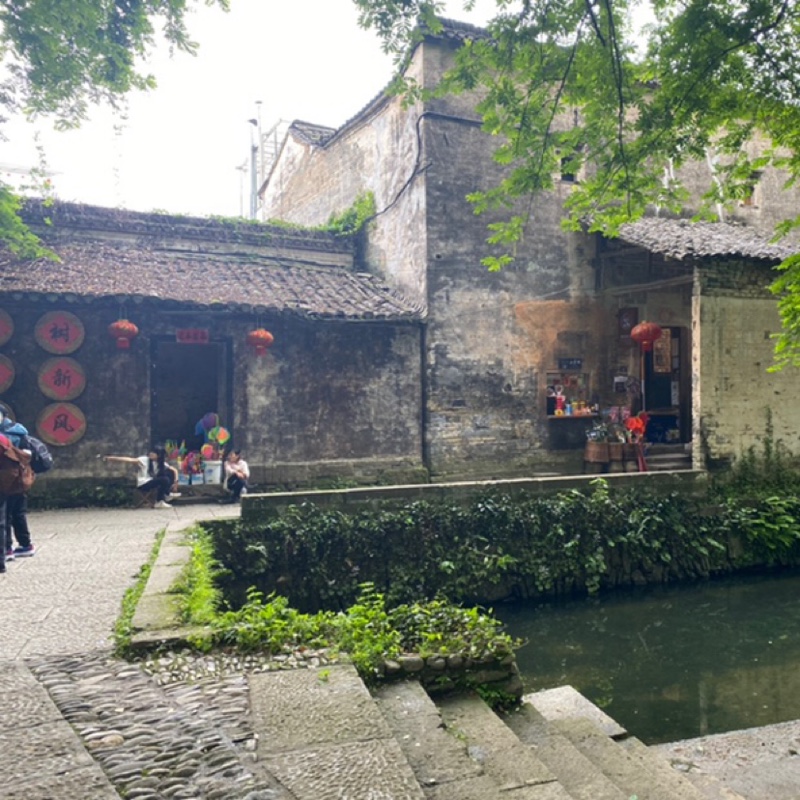 爱吃三味吐司的龙井茶