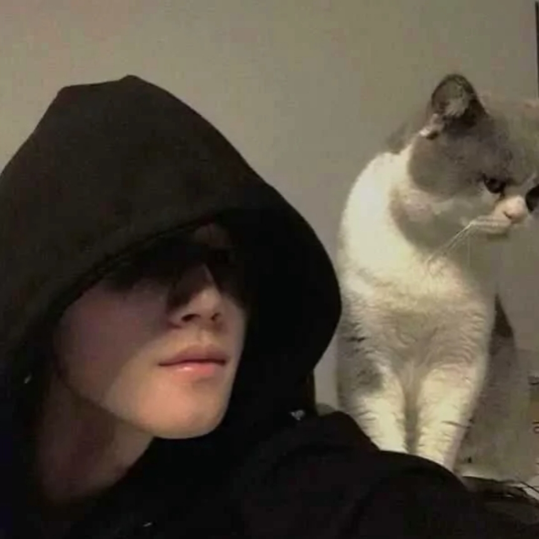 锡都清爽的柑桔