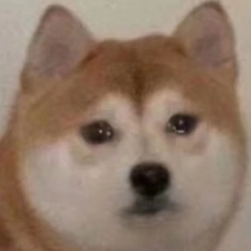 爱吃油辣椒的千阳