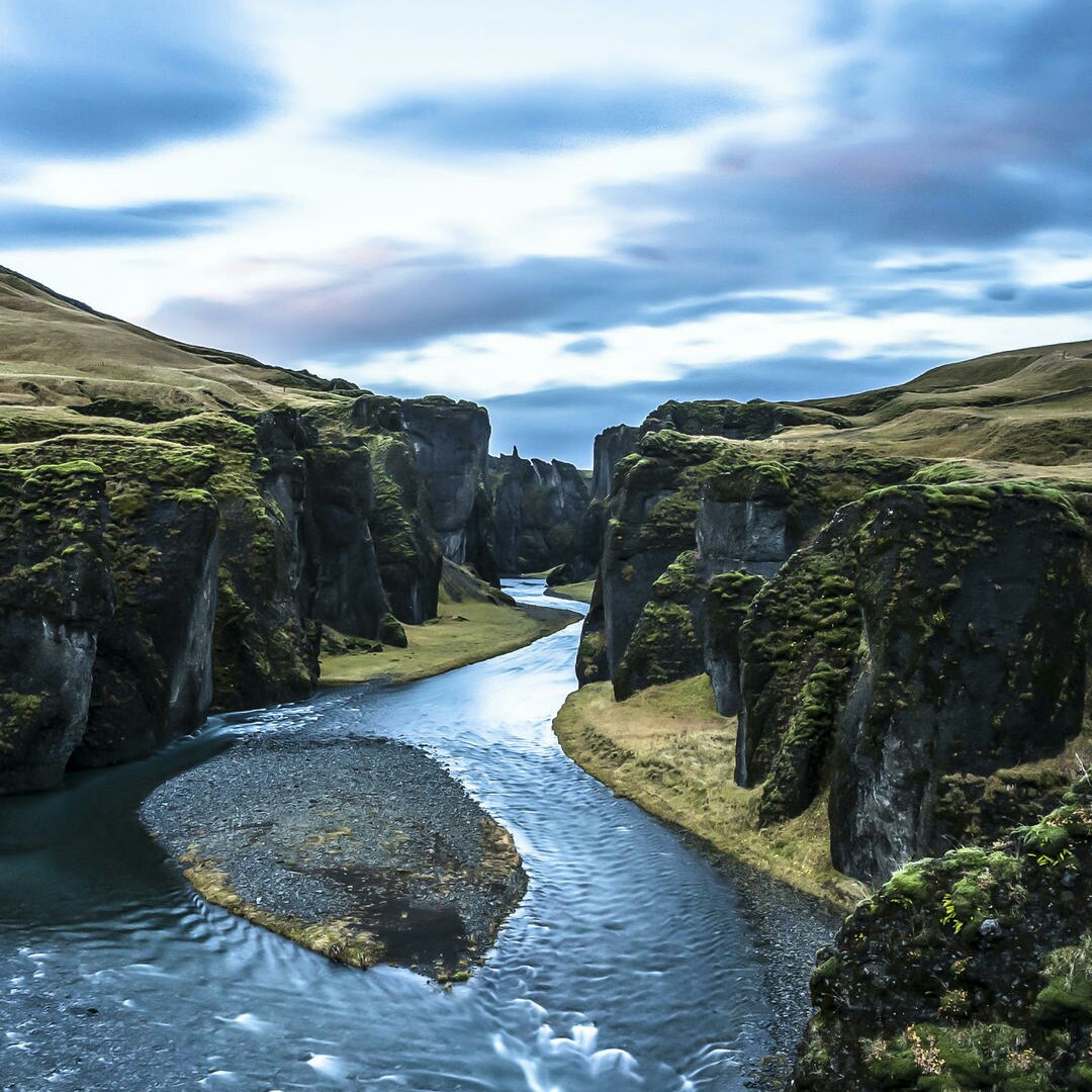 银白色的三叶芹