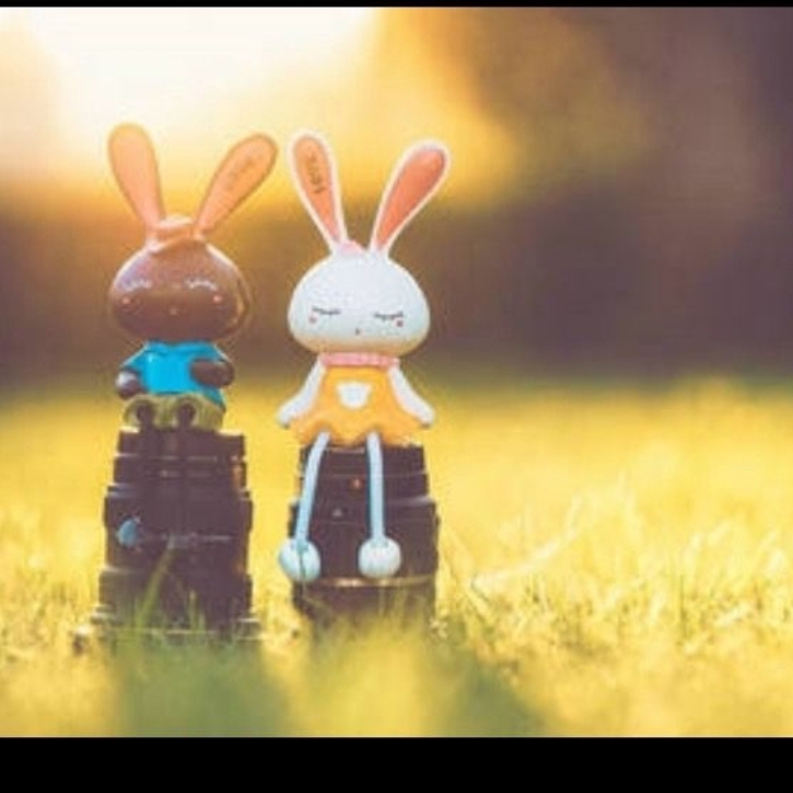 焕艾后补卡卡信息1