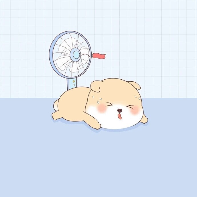 爱吃魔芋瓜片的罐头