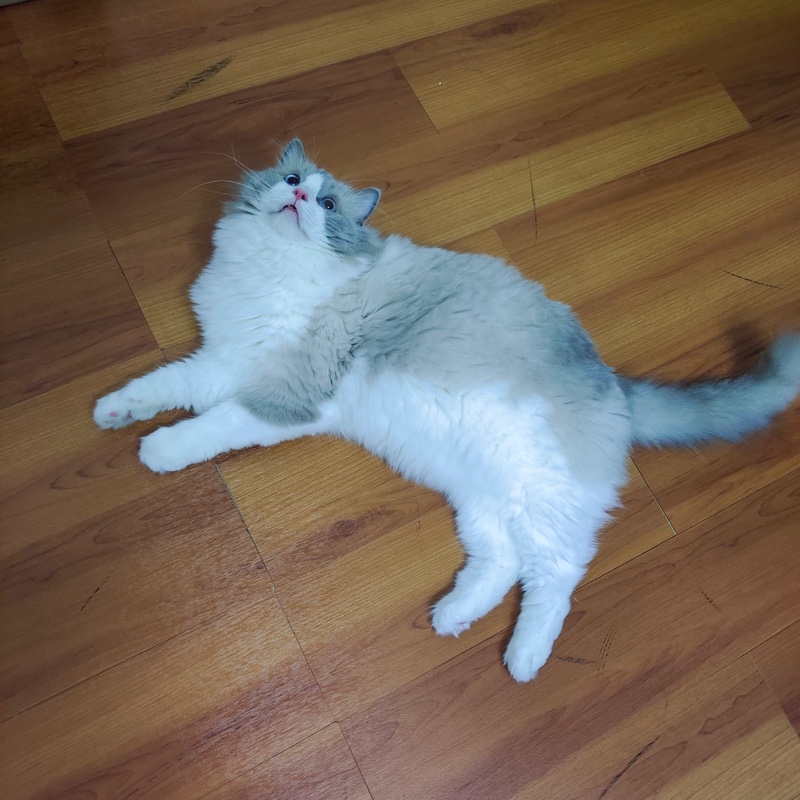 喜欢伱时风好暖