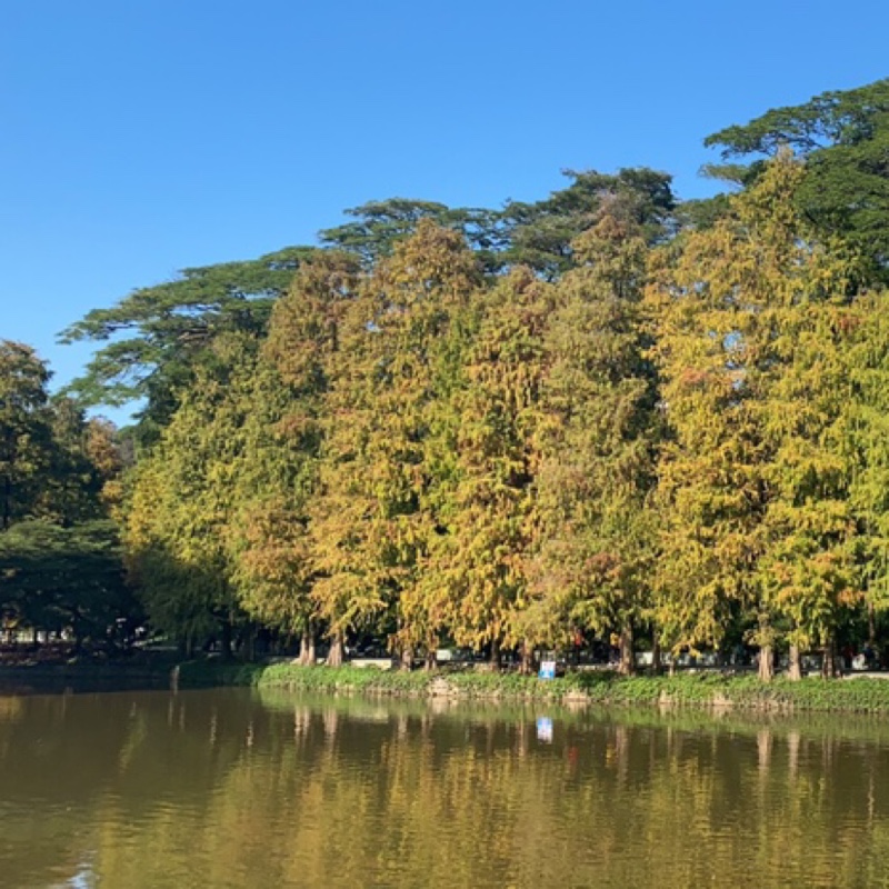 爱吃雀神皮冻的玻璃杯