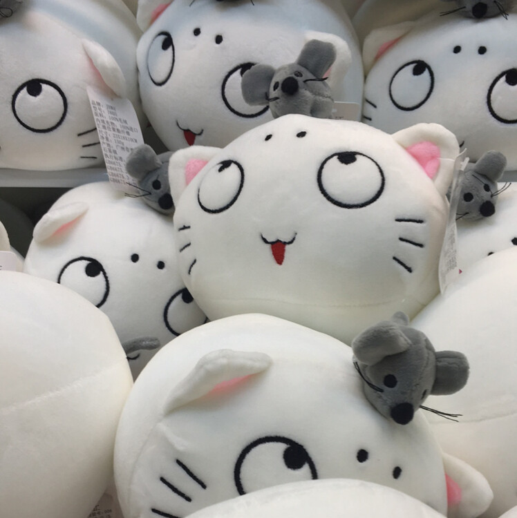 售出不退小可爱