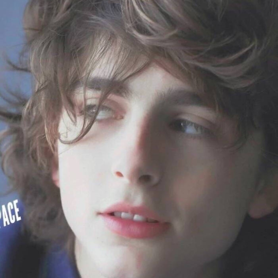 全城最可的崽儿