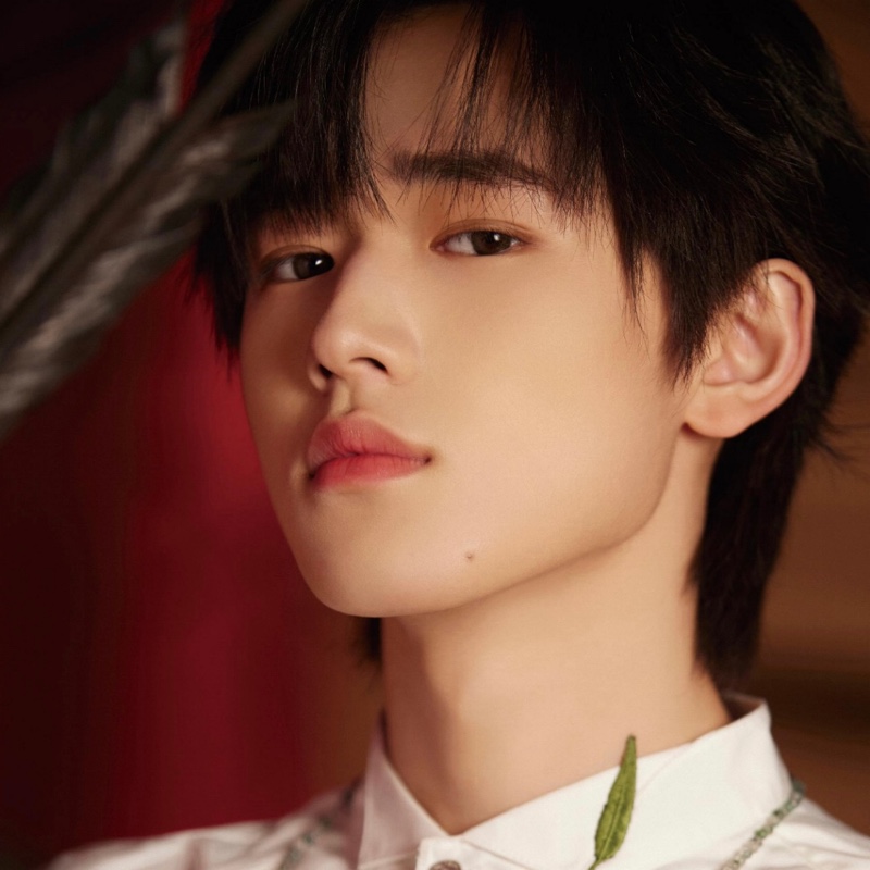 有山有水有树林