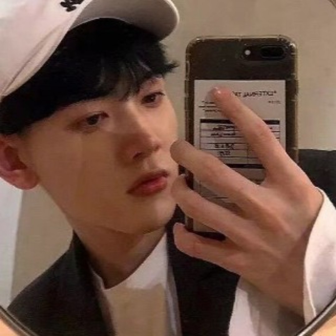 爱吃果蔬炒饭的加菲猫