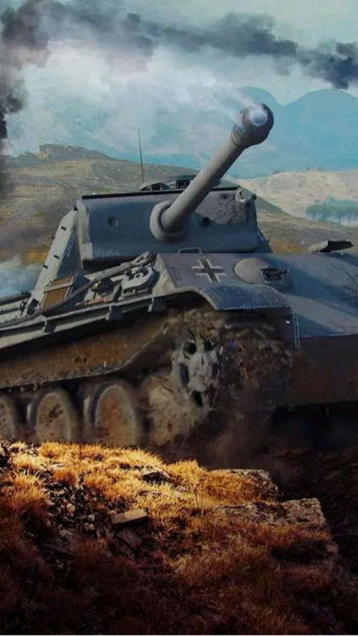 要起什么名caigu