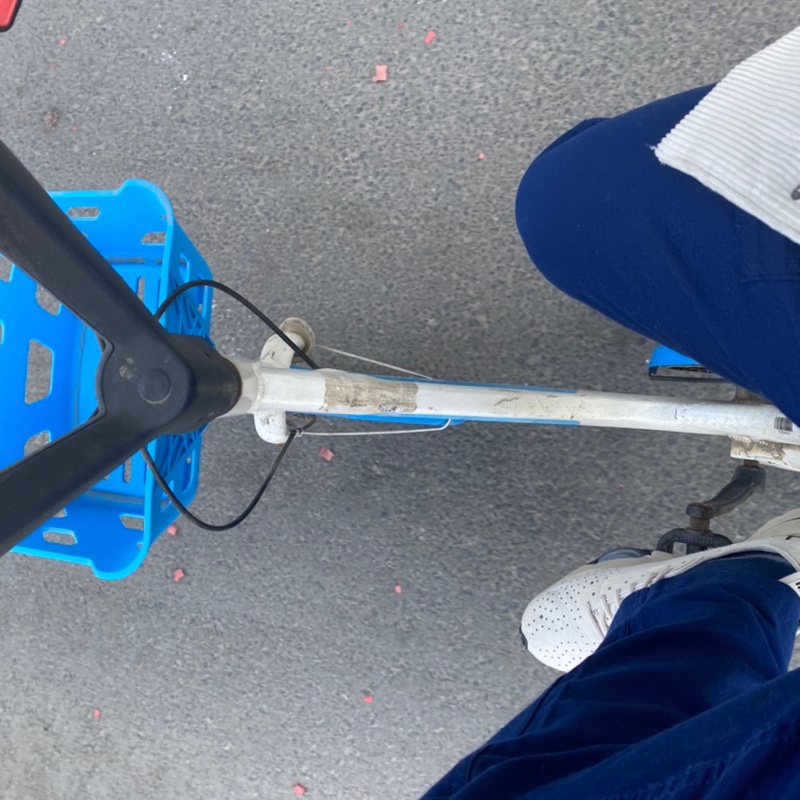 爱吃三丁茄子的帆布鞋us