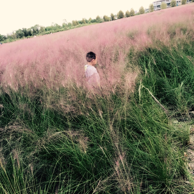 爱吃肉肉的鱼229