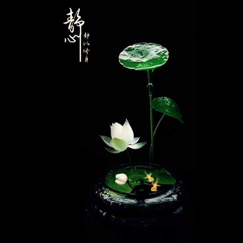 兰花观鱼台静心