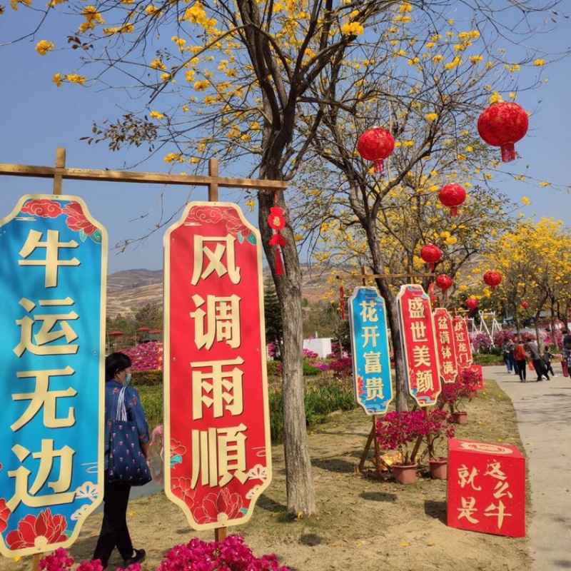 起个昵称都碍事