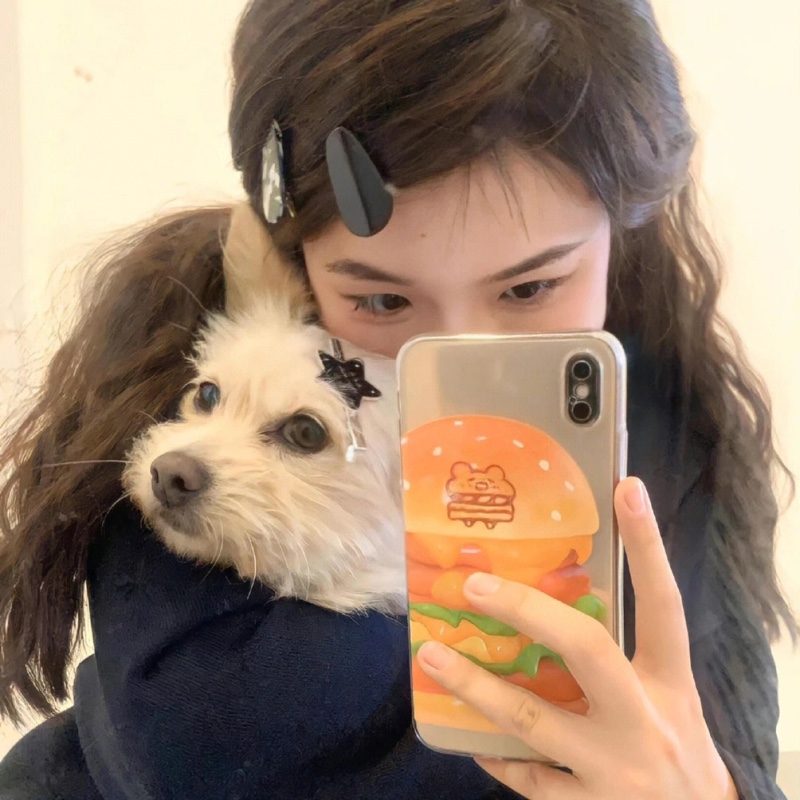 爱吃鲤跃龙门的局外人