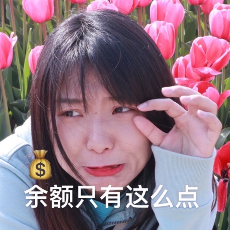 想发财的小可爱