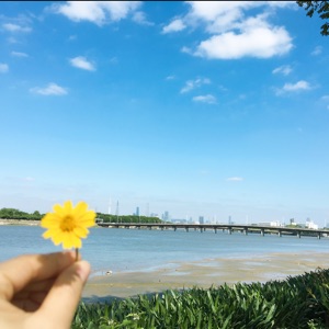 黎家大大大宝贝