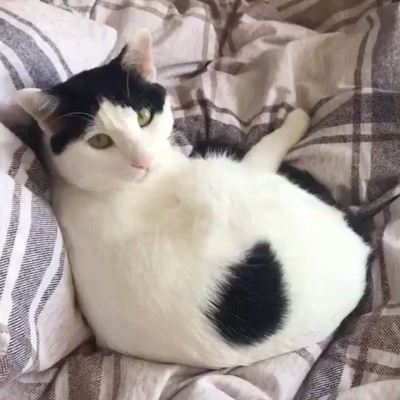 小宝蛋der爱唱歌