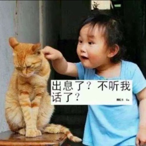 心若浮尘，浅然安笑