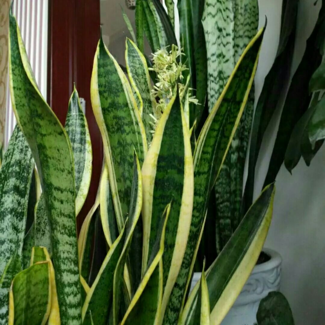 小盆友的幼儿园