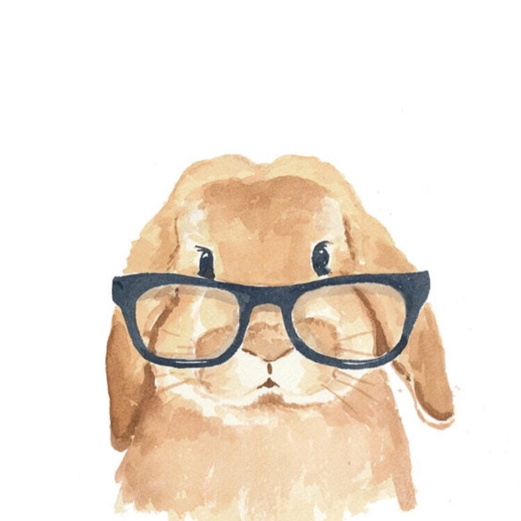 吃肉的兔子Janae