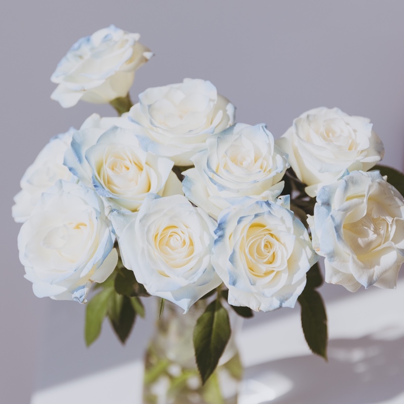 爱拍照的蓝白控