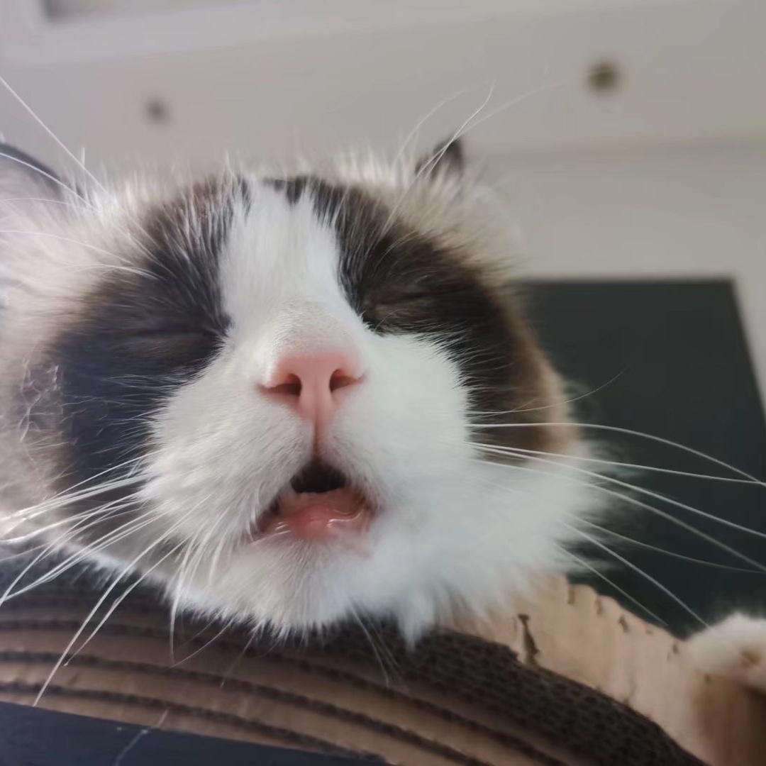 金宝小盆友的粑粑